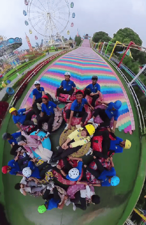 Rainbow Slide New Celosia